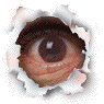Des liens vers des webcams le plus souvent personnelles