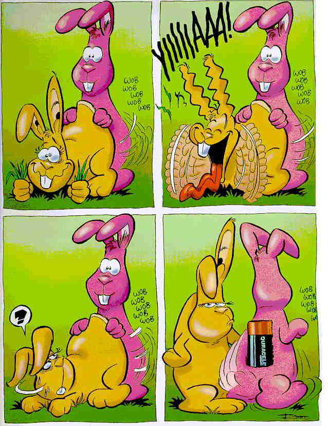 Lapins.jpg (61347 octets)
