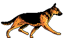 dogb.gif (5047 octets)