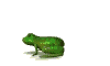 frog.gif (10009 octets)