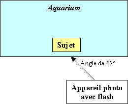 wpe2A.jpg (7216 octets)