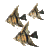 schoolSmCLR.gif (4111 octets)